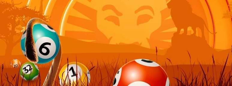 Orange bakgrund lejon, leovegas ikon - bingobollar - Leo Vegas Bingo