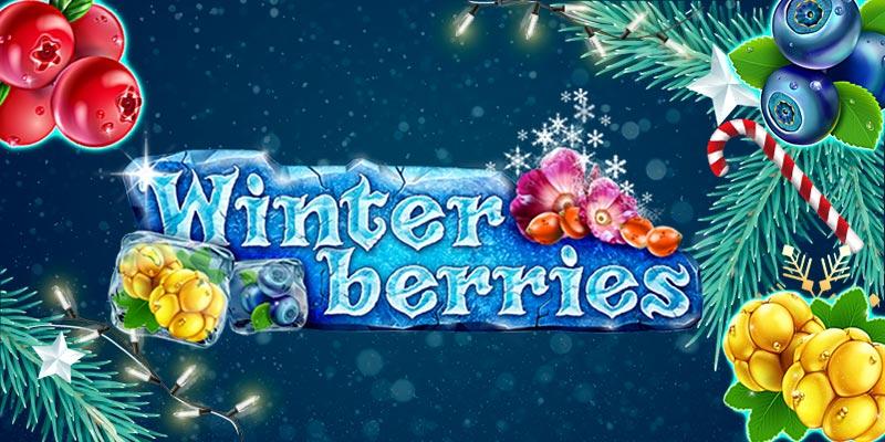 Winter Berries - jul slot