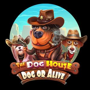 The Dog House: Dog Or Alive logo
